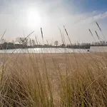 In Duinbergen Near The