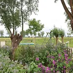 In Duinbergen Near The