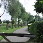 In Duinbergen Near The