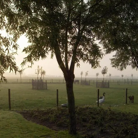 In Duinbergen Near The *