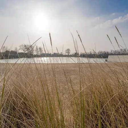 In Duinbergen Near The