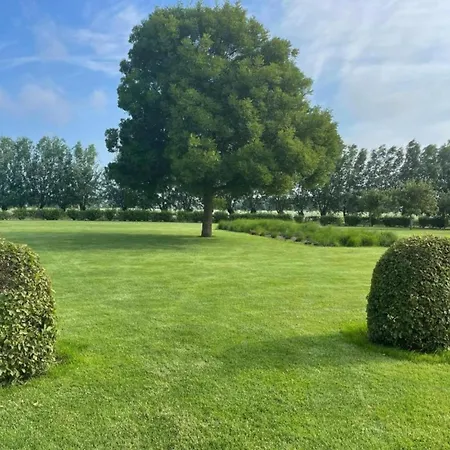 In Duinbergen Near The Knokke-Heist