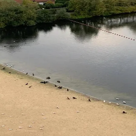 Appartement In Duinbergen Near The Knokke-Heist