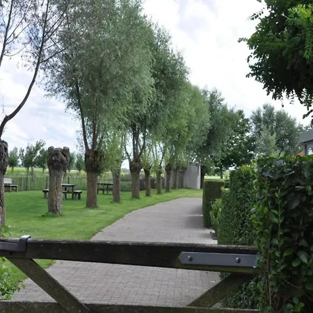 In Duinbergen Near The